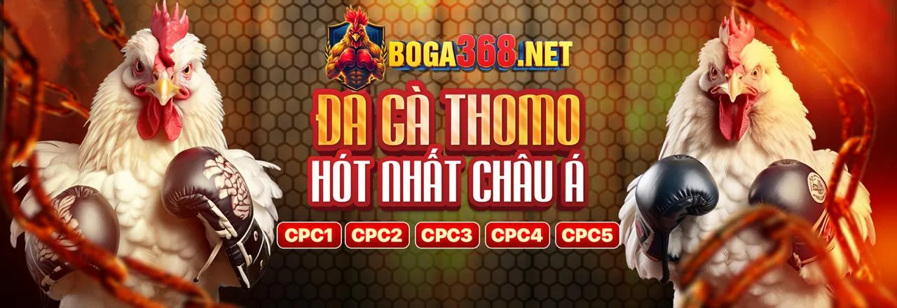 Cá cược tennis